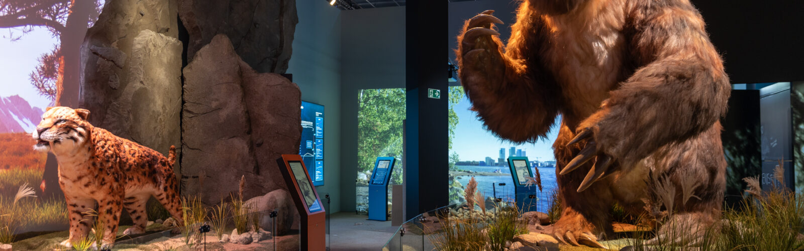 Talvilomaretki Heurekaan ja Fazeriin