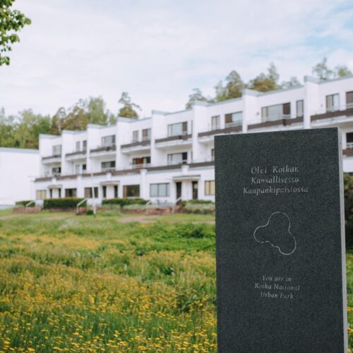 Merellinen Kotka ja sen aarteet