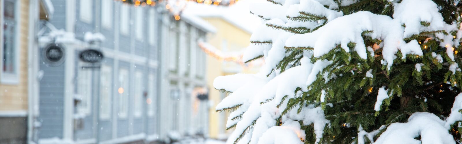 Jouluinen päivämatka