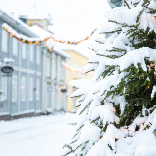Jouluinen päivämatka