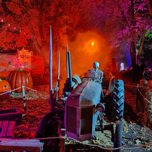 Retki Halloween puistoon – Puotilan Kartanolle